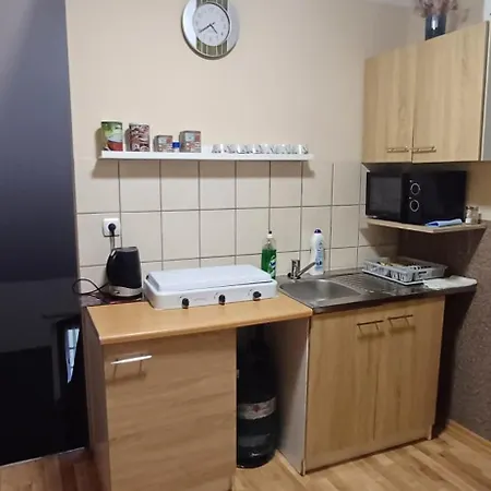 Modrzewie 3* Międzylesie