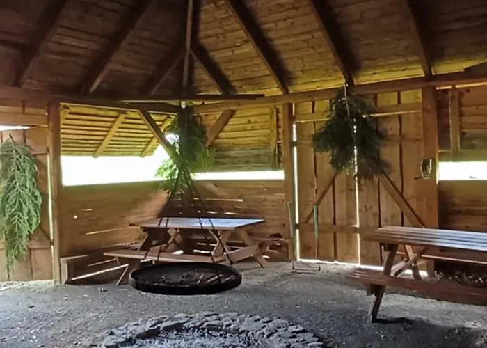 Modrzewie 미에드지레시