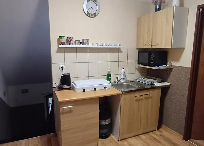 Modrzewie 3* 미에드지레시