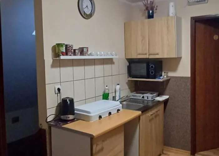 게스트하우스 Modrzewie 미에드지레시