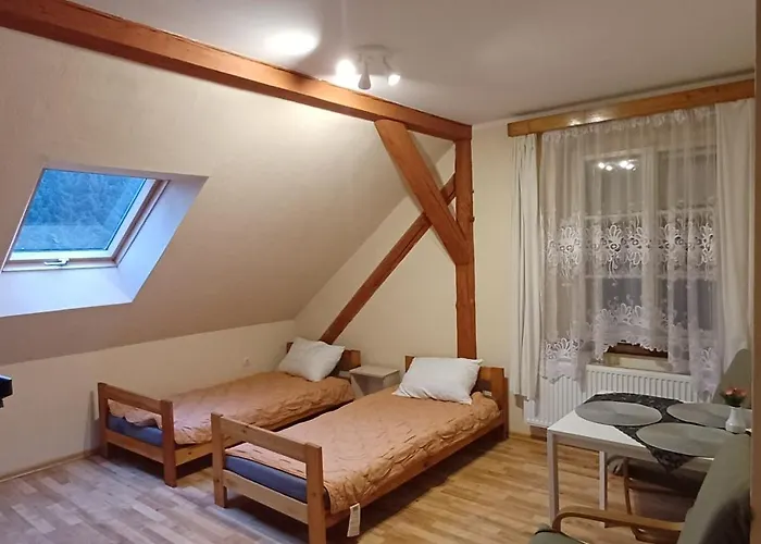 Modrzewie 미에드지레시