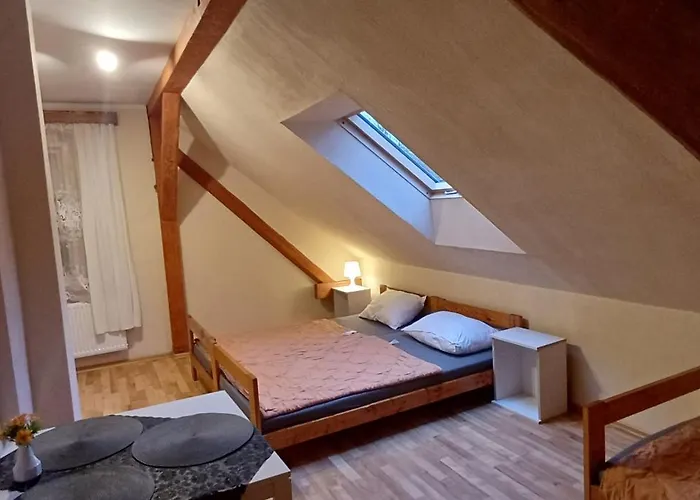 Modrzewie 게스트하우스 3*