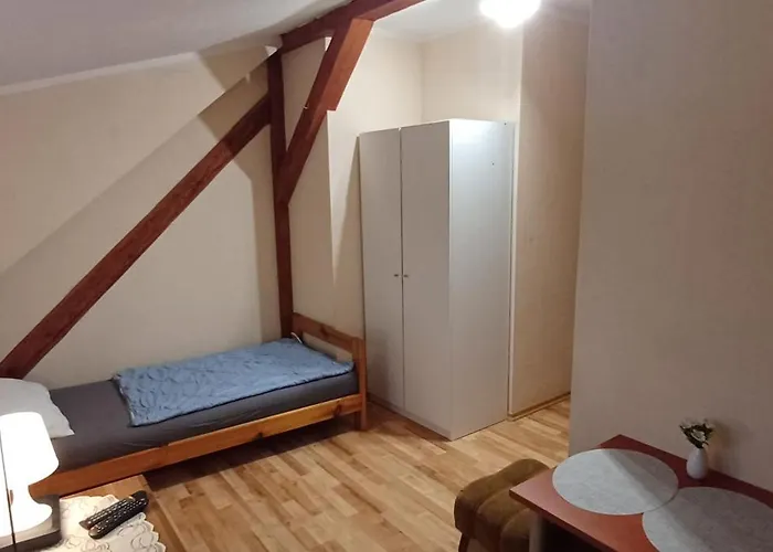 Modrzewie 게스트하우스 미에드지레시