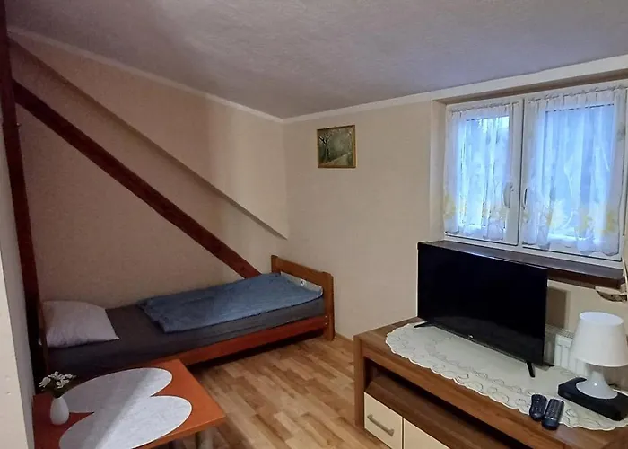 게스트하우스 Modrzewie